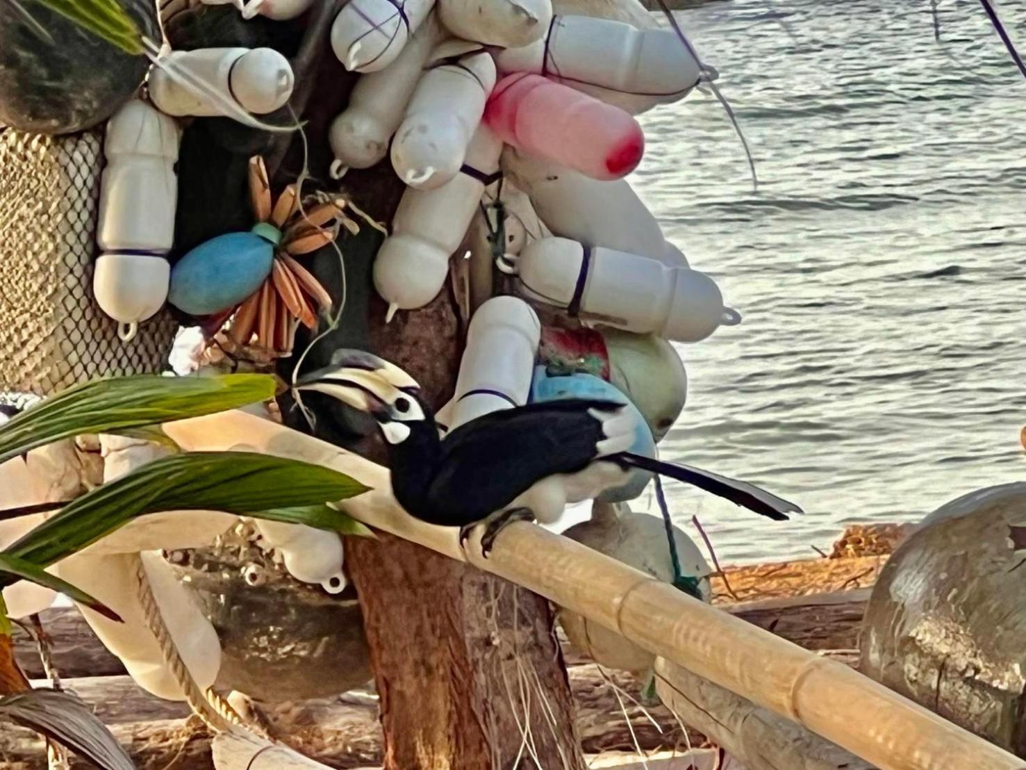 Koh Phaluai Beach Bangalow Ban Ko Nok Taphao Dış mekan fotoğraf