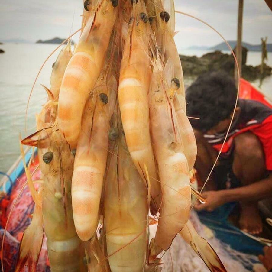 Koh Phaluai Beach Bangalow Ban Ko Nok Taphao Dış mekan fotoğraf